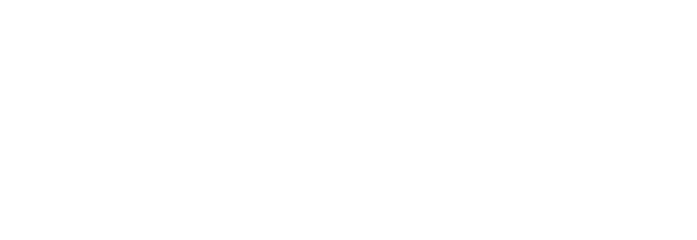Logo digitalXL Invers